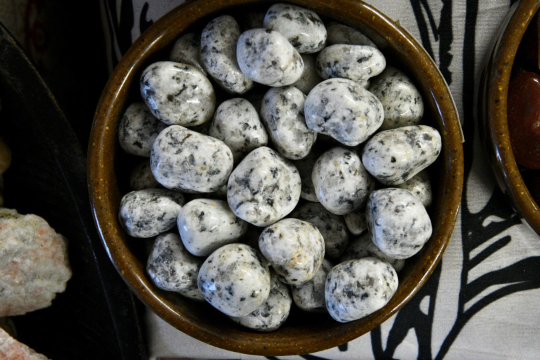 Dalmatian Jasper