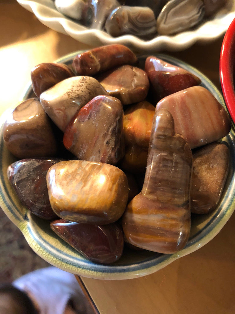 Petrified Wood (Tumbled)