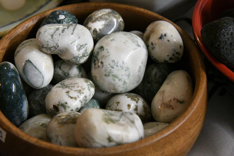 Tree Agate (Tumbled)