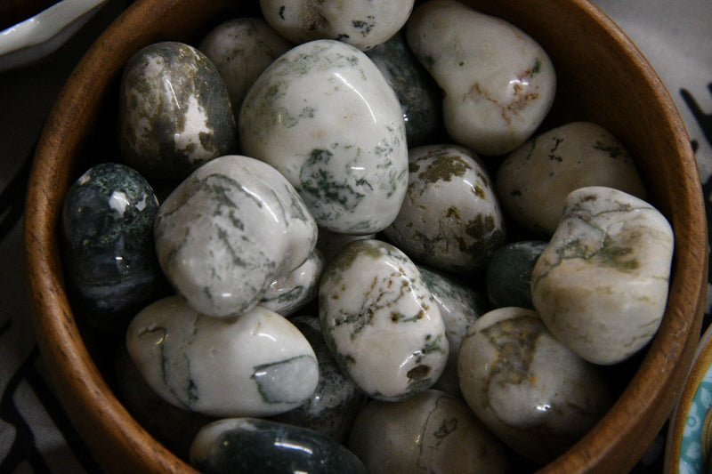 Tree Agate (Tumbled)