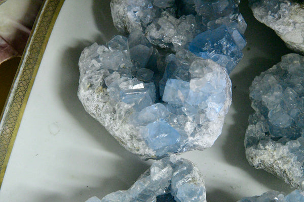 Celestite Druze Cluster (AAA Grade)