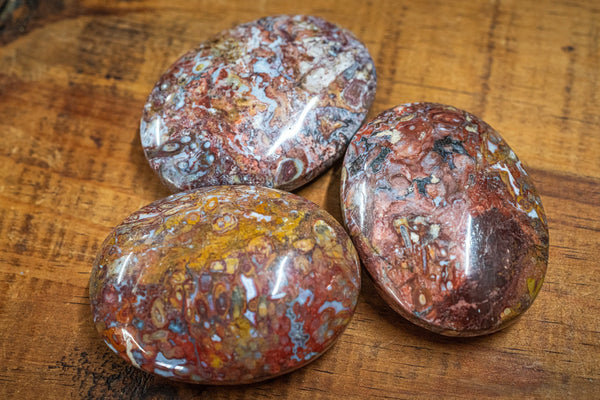 Plum Root Agate Palm Stone