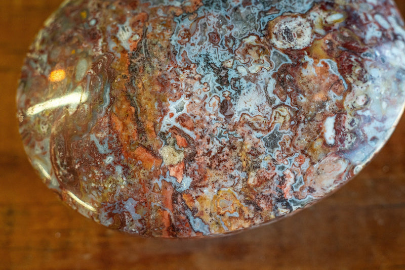Plum Root Agate Palm Stone