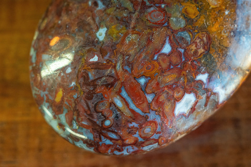 Plum Root Agate Palm Stone