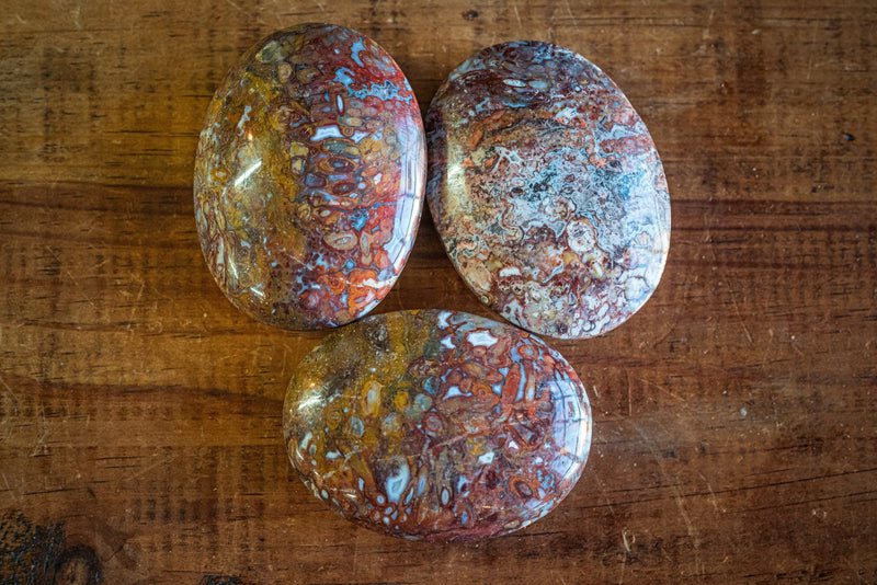 Plum Root Agate Palm Stone