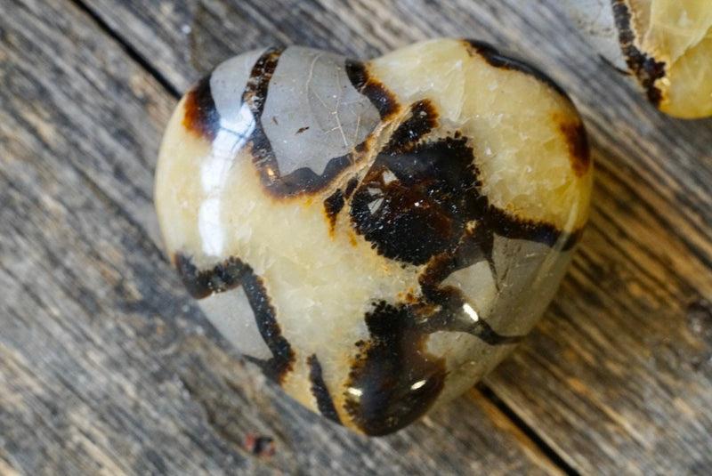 Septarian Heart (2”)