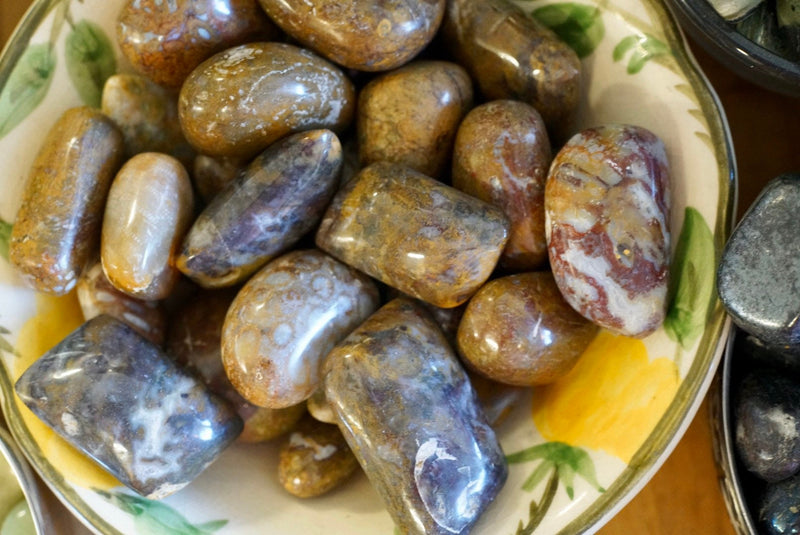 Plum Root Agate (Tumbled)