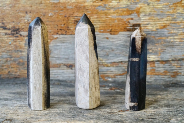 Petrified Palm Root Obelisk (3.75”-4.75”)