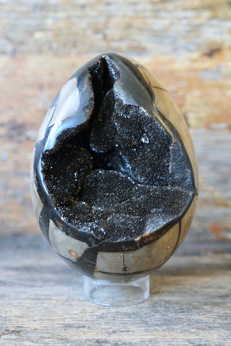 Septarian Dragon’s Egg