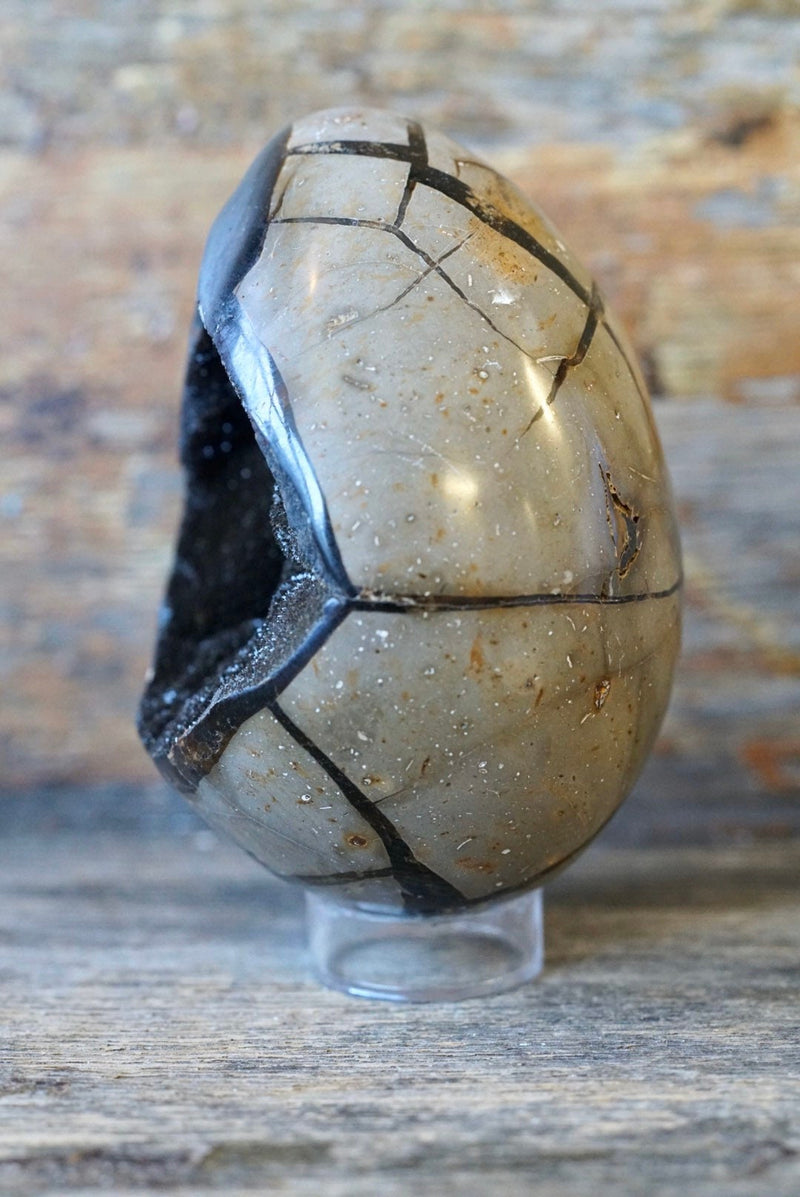 Septarian Dragon’s Egg