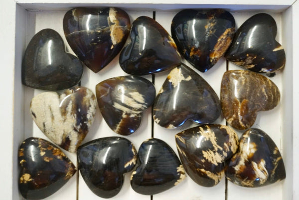 Zebra Amber Heart (1.5”)