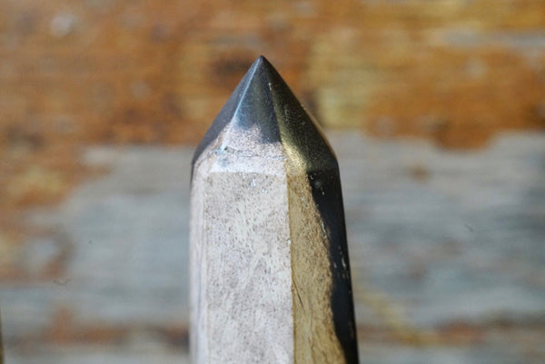 Petrified Palm Root Obelisk (3.75”-4.75”)