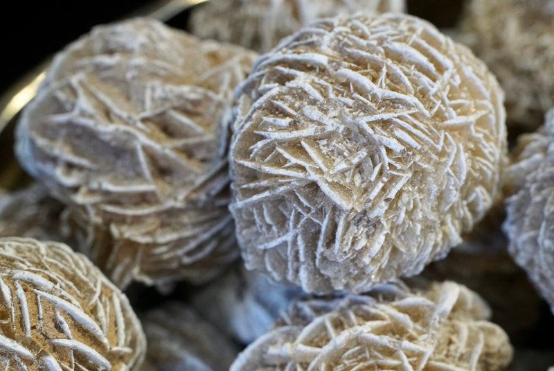 Desert Rose
