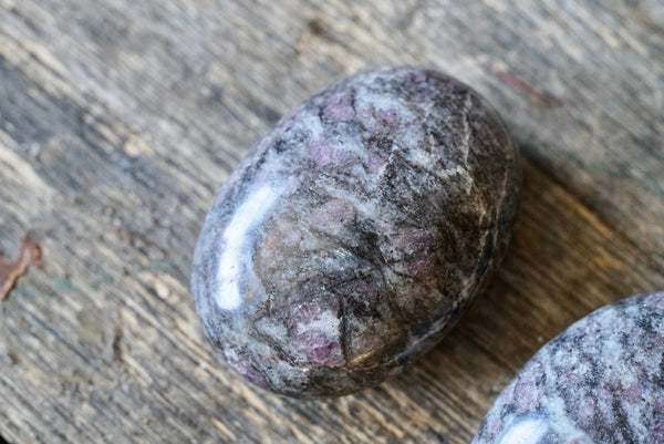 Garnet in Astrophyllite Palm Stone