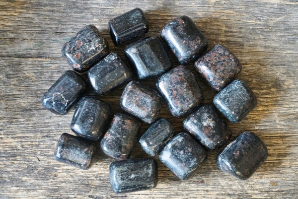 Garnet in Biotite (Tumbled)