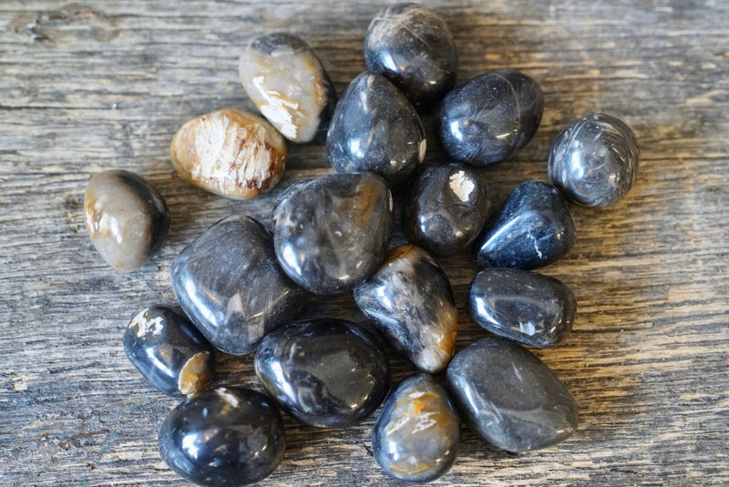 Feather Agate (Tumbled)