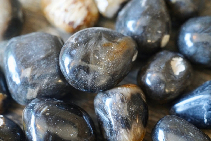 Feather Agate (Tumbled)