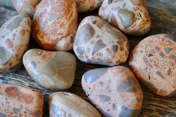 Leopardite (Tumbled)