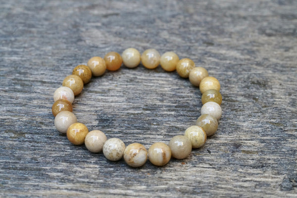 Fossilized Coral Bracelet (8mm)