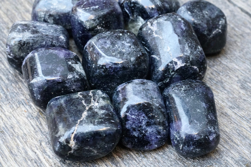 Iolite in Black Mica (Tumbled)