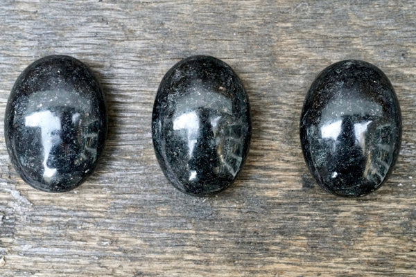 Biotite Palm Stone