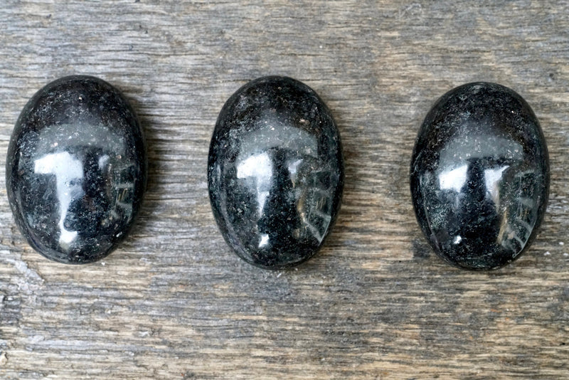 Biotite Palm Stone