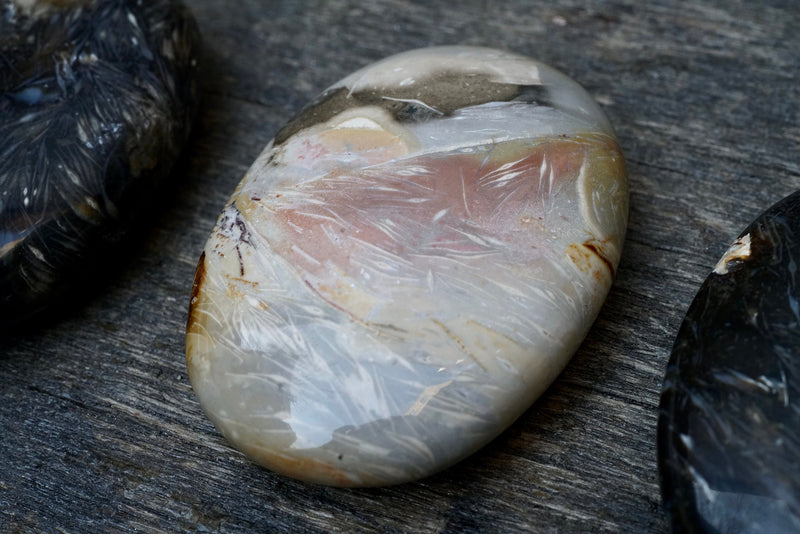 Feather Agate Palm Stone