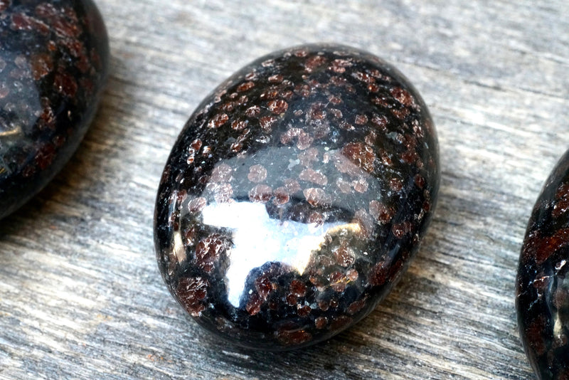 Garnet in Biotite Palm Stone