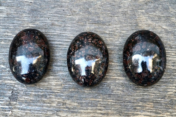 Garnet in Biotite Palm Stone