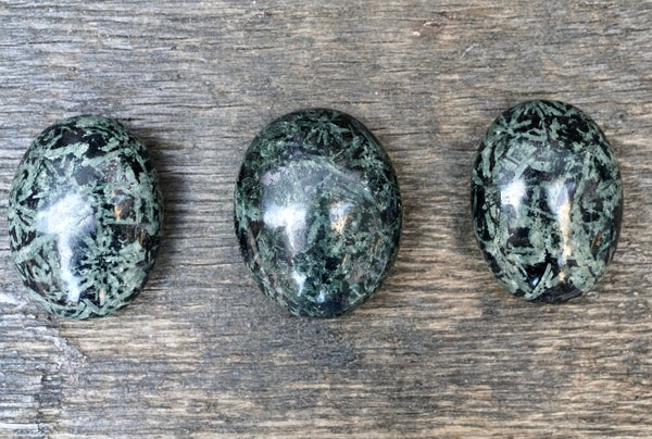 Rainforest Jasper Palm Stone