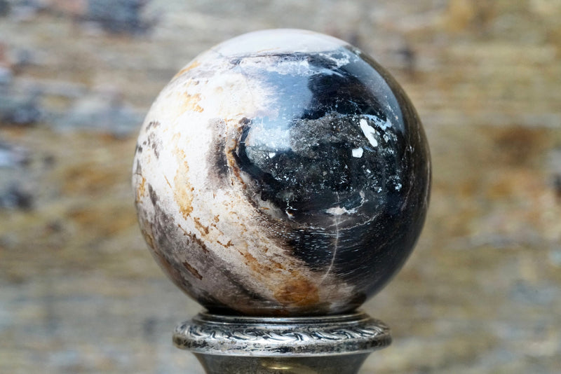 Petrified Wood Sphere (2")