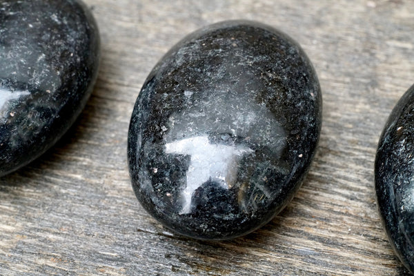 Biotite Palm Stone