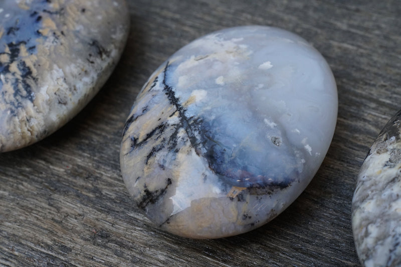 Dendritic Agate Palm Stone