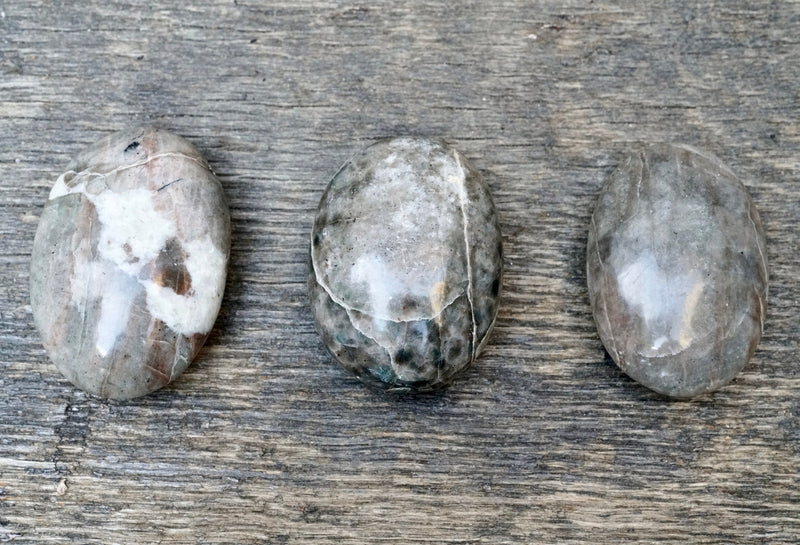 Cat's Eye Palm Stone
