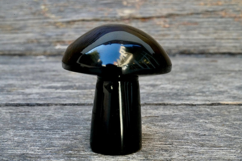 Black Obsidian Mushroom