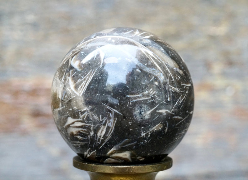 Feather Agate Sphere (2")