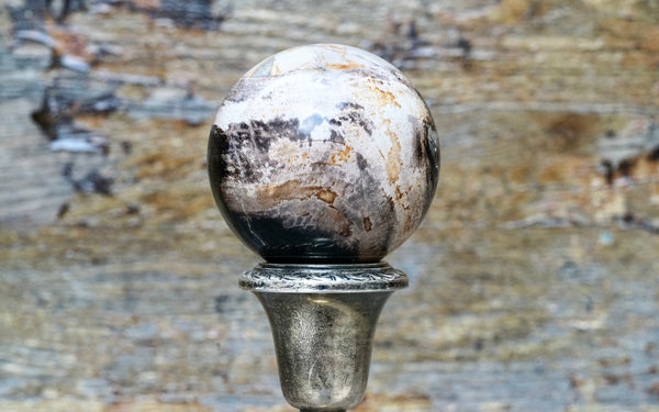Petrified Wood Sphere (2")