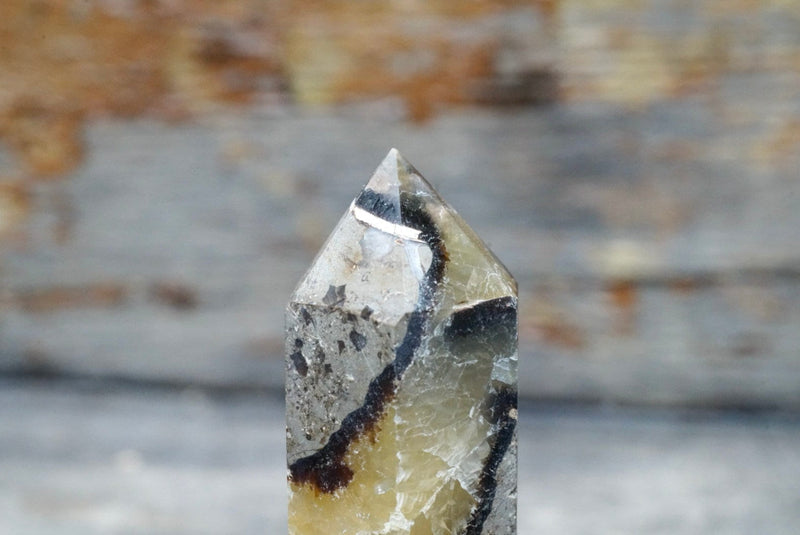 Septarian Obelisk (2.5"-4")