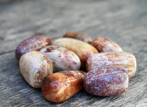 Fossilized Red Coral Pebble (1”-2”)