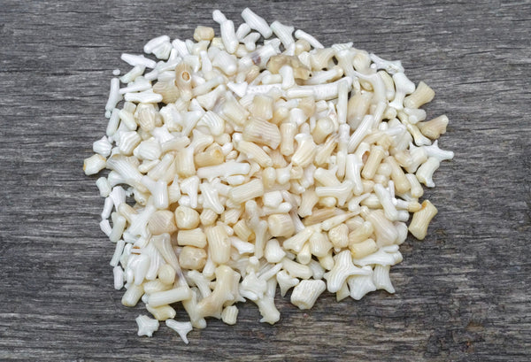Bamboo Coral Chips (4oz)