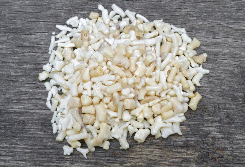 Bamboo Coral Chips (4oz)