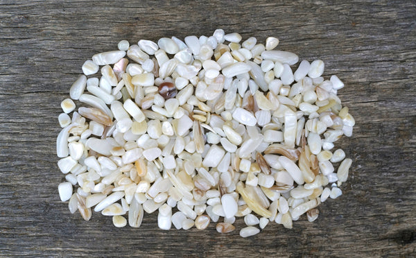 Mother of Pearl Chips (4oz)
